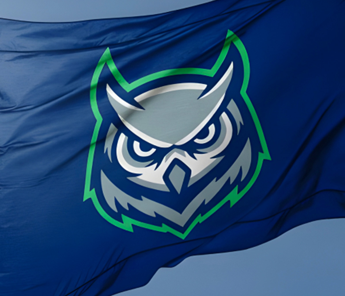 Owl Logo Sports Hockey