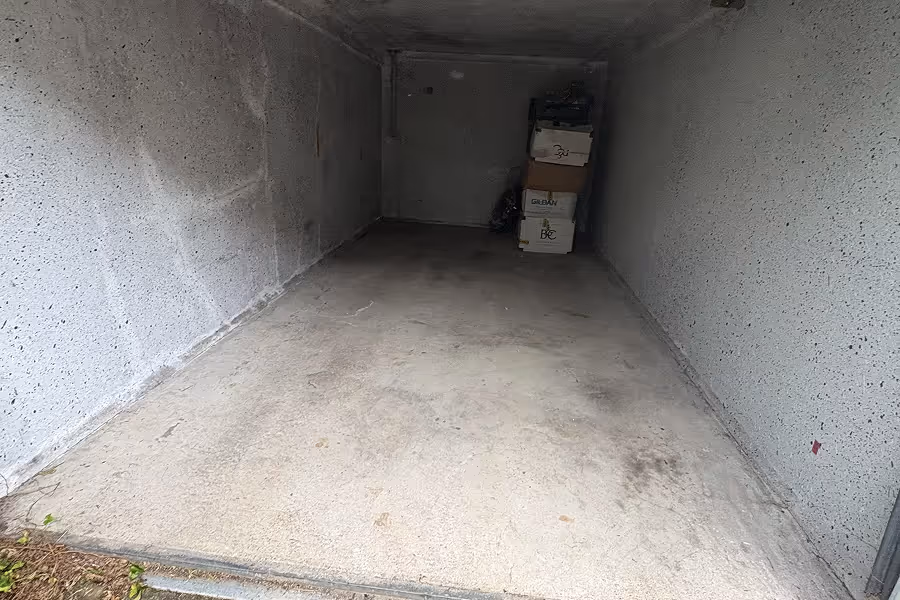 Mojave desert in the dark