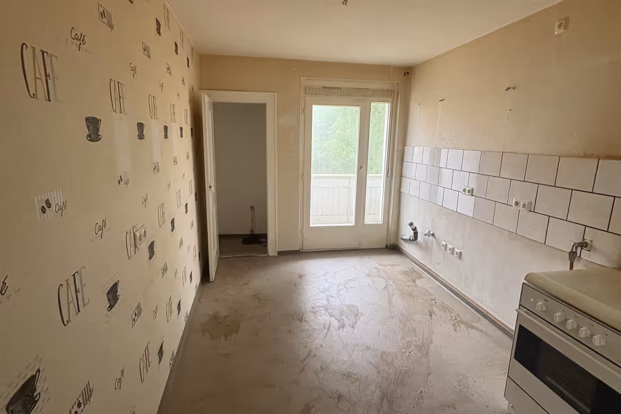 Mojave desert in the dark