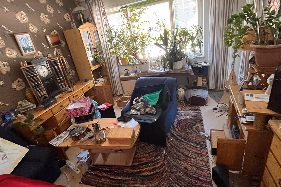 Mojave desert in the sun