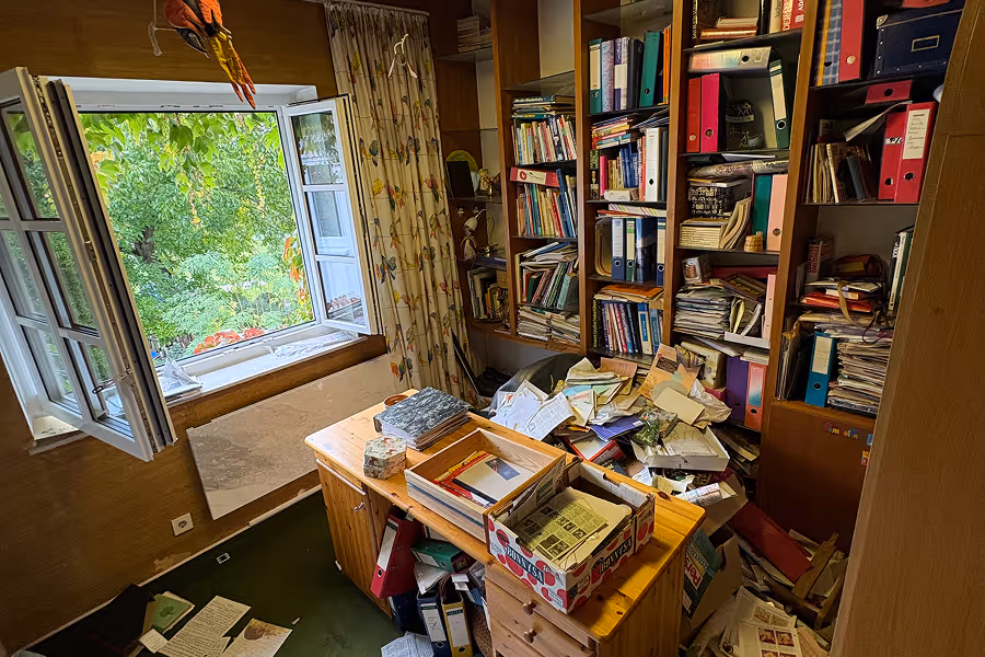 Mojave desert in the sun