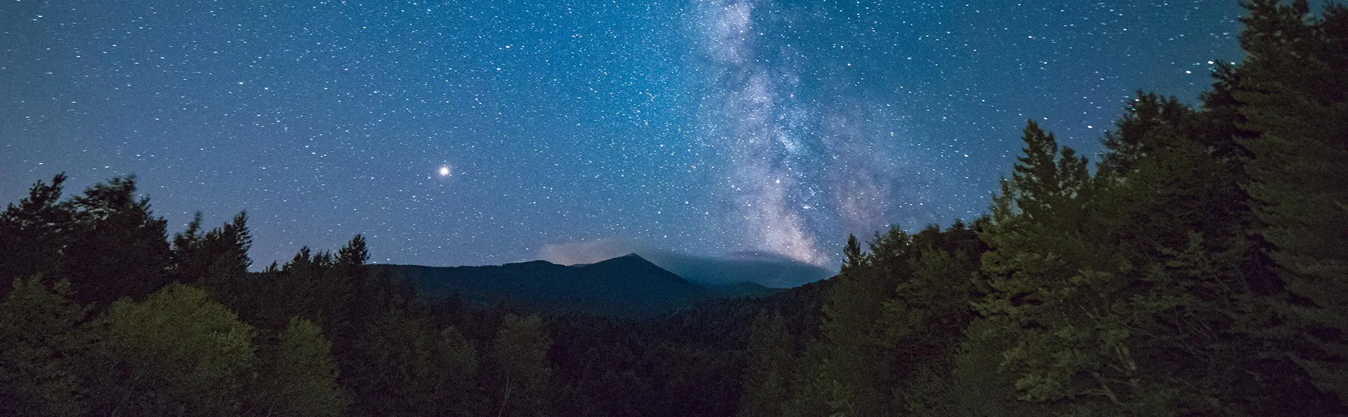 beautiful forest with mountain in the background, and the milky way visible above it in the sky