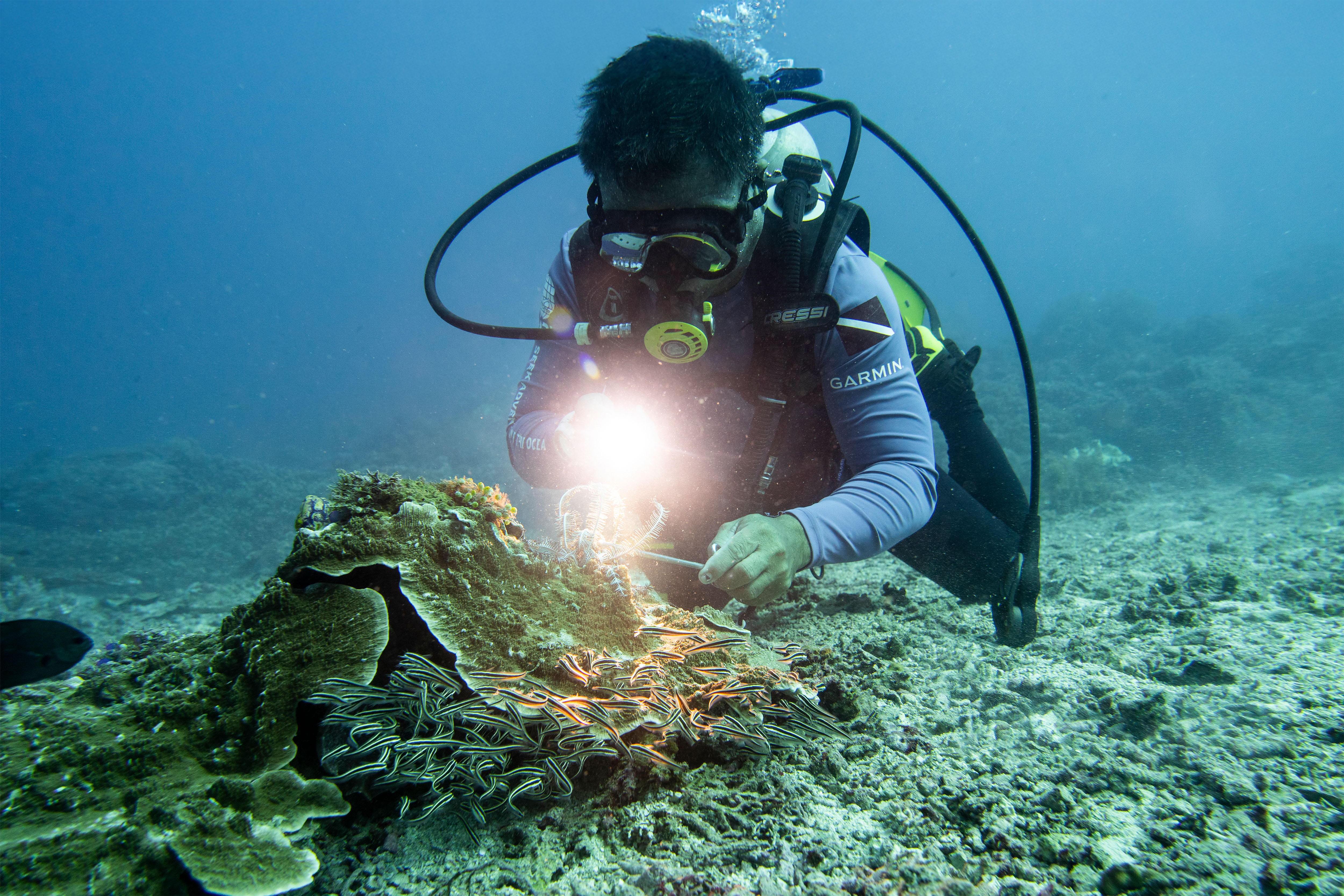 Filipino scientist checking the state of coral reefs