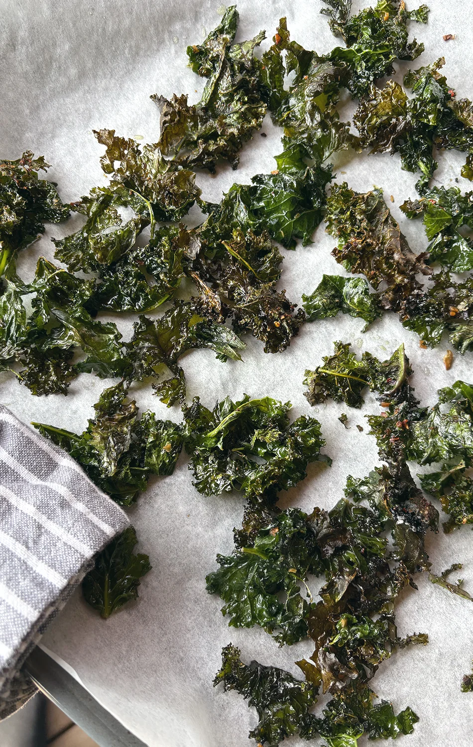 Three golden fried dough balls garnished with chopped herbs on a bed of red tomato sauce, served on a speckled white plate.