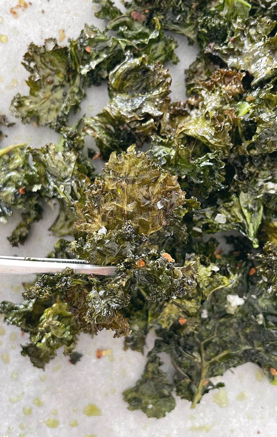 Close-up of a baked vegetable quiche topped with grilled zucchini slices, asparagus, sun-dried tomatoes, and pine nuts in a ceramic pie dish.