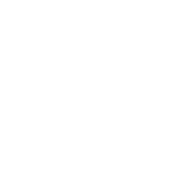 Blank white image with no discernible content or features