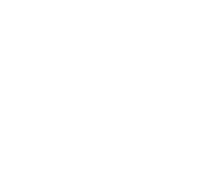 Blank white image with no visible content or details