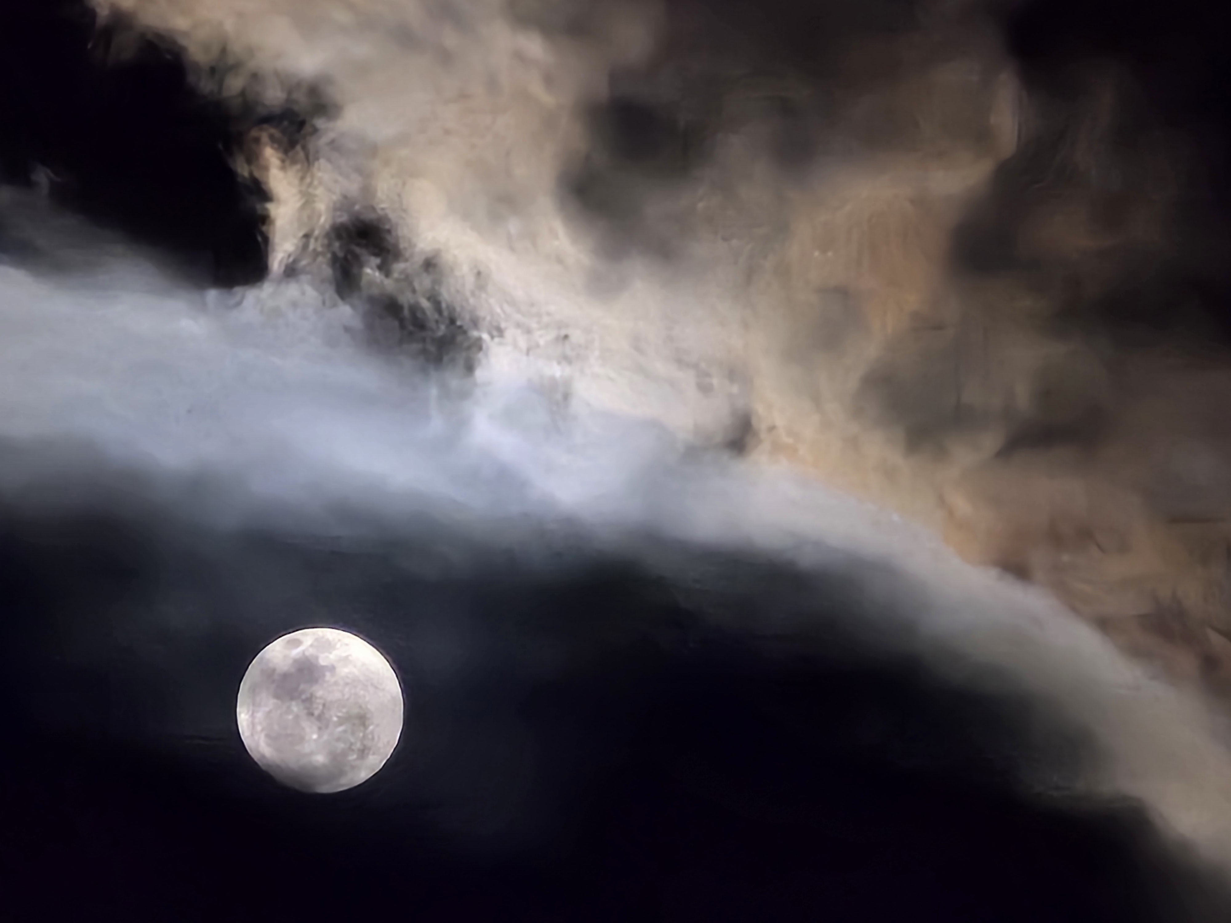 image of service technicians (for an auto dealership).