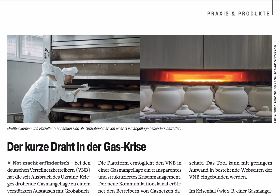 Auschnitt des Artikels zum RLM Portal