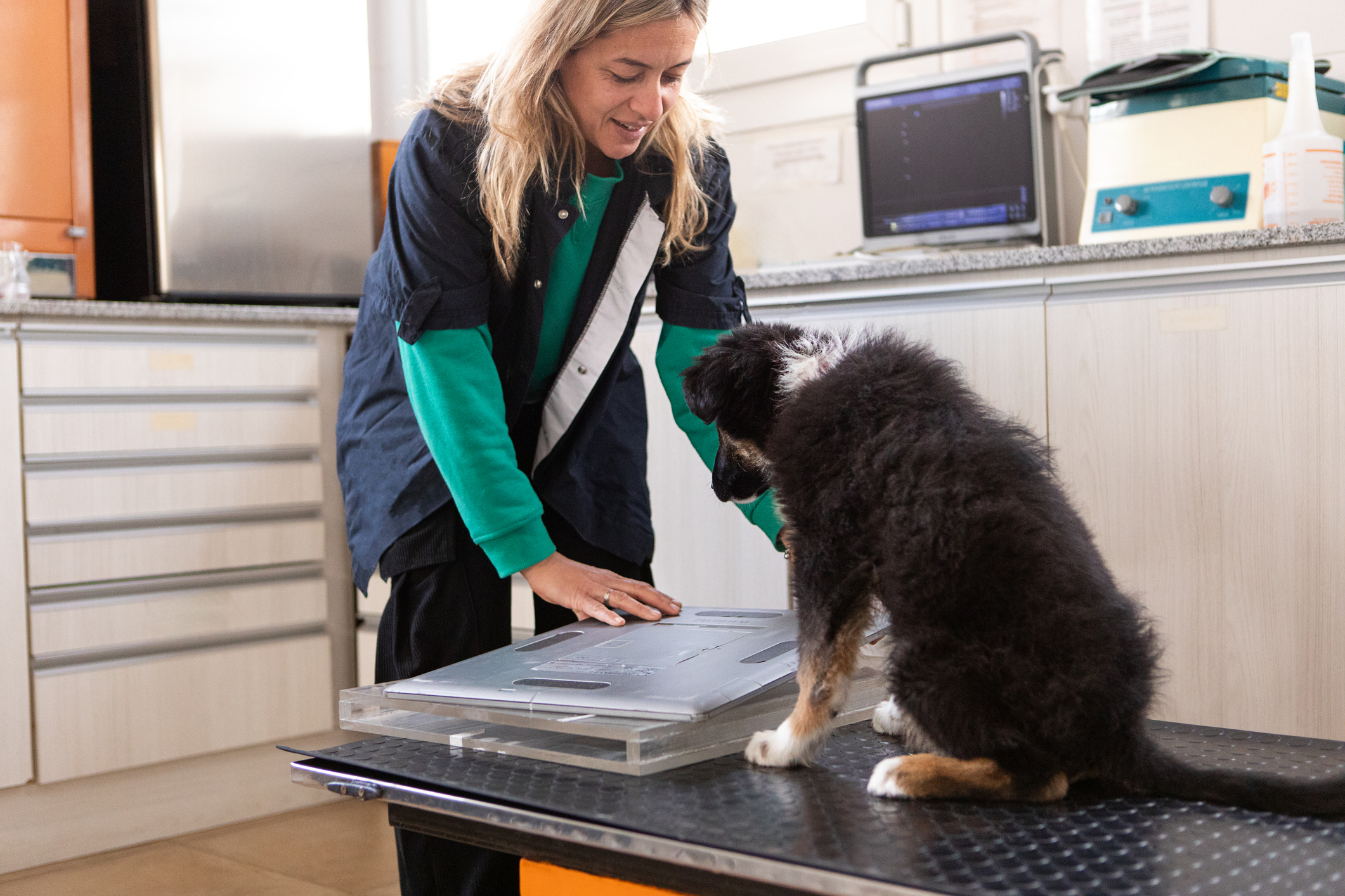 Veterinarian weighing a black and brown puppy on a scale in a clinic examination room.