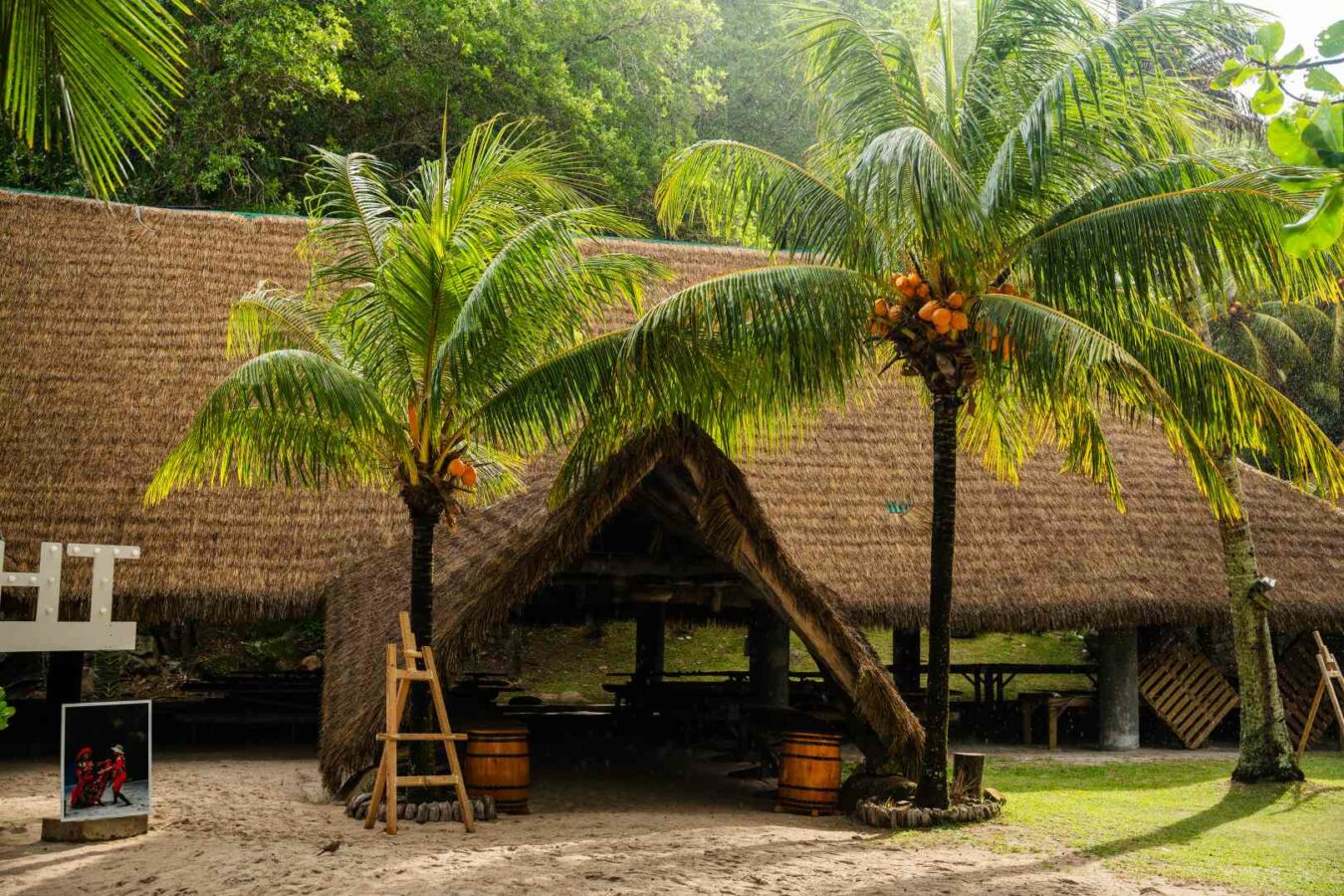 image of live music events (for a craft brewer)