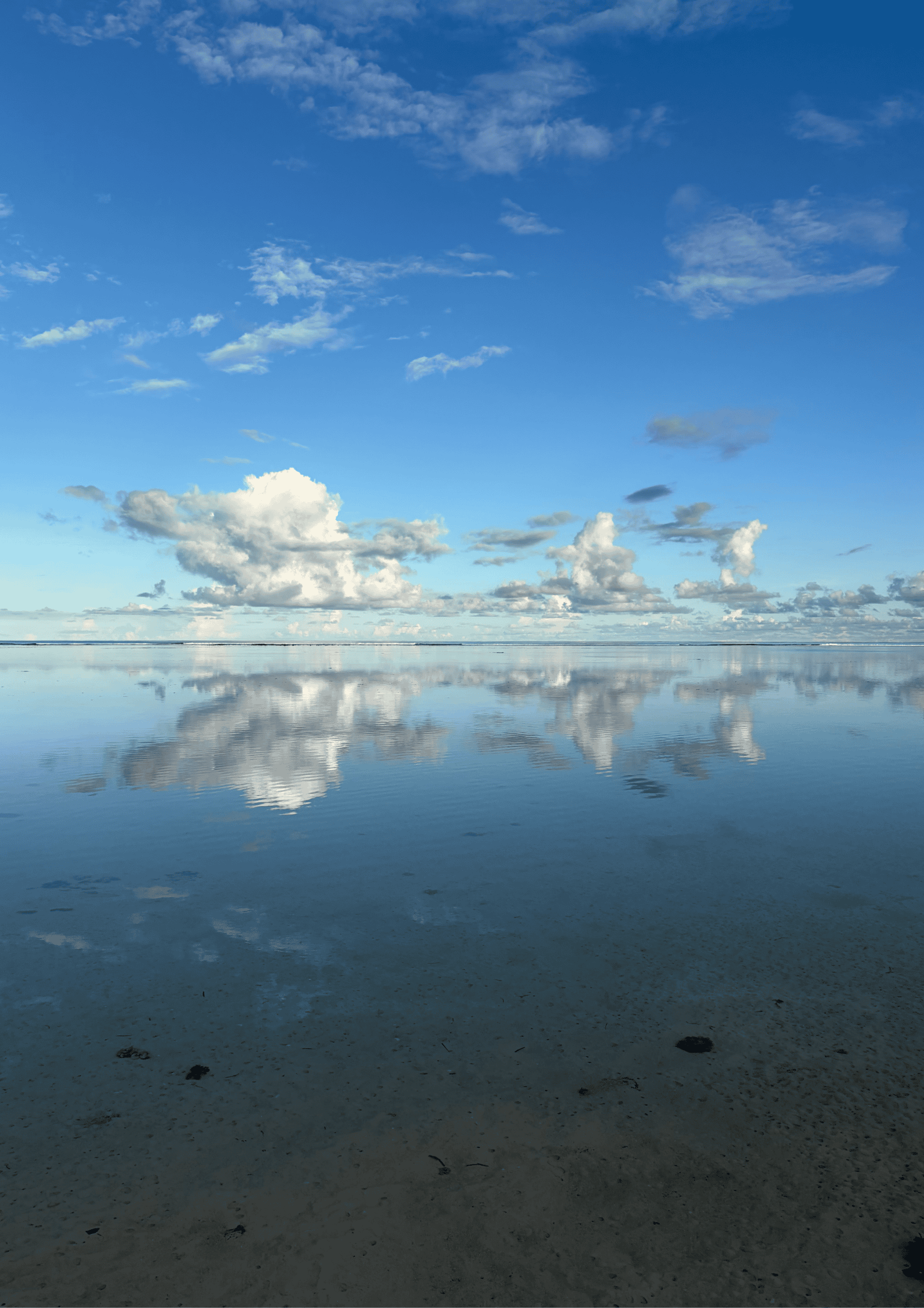 image of ramen bowls (for a japanese restaurant)