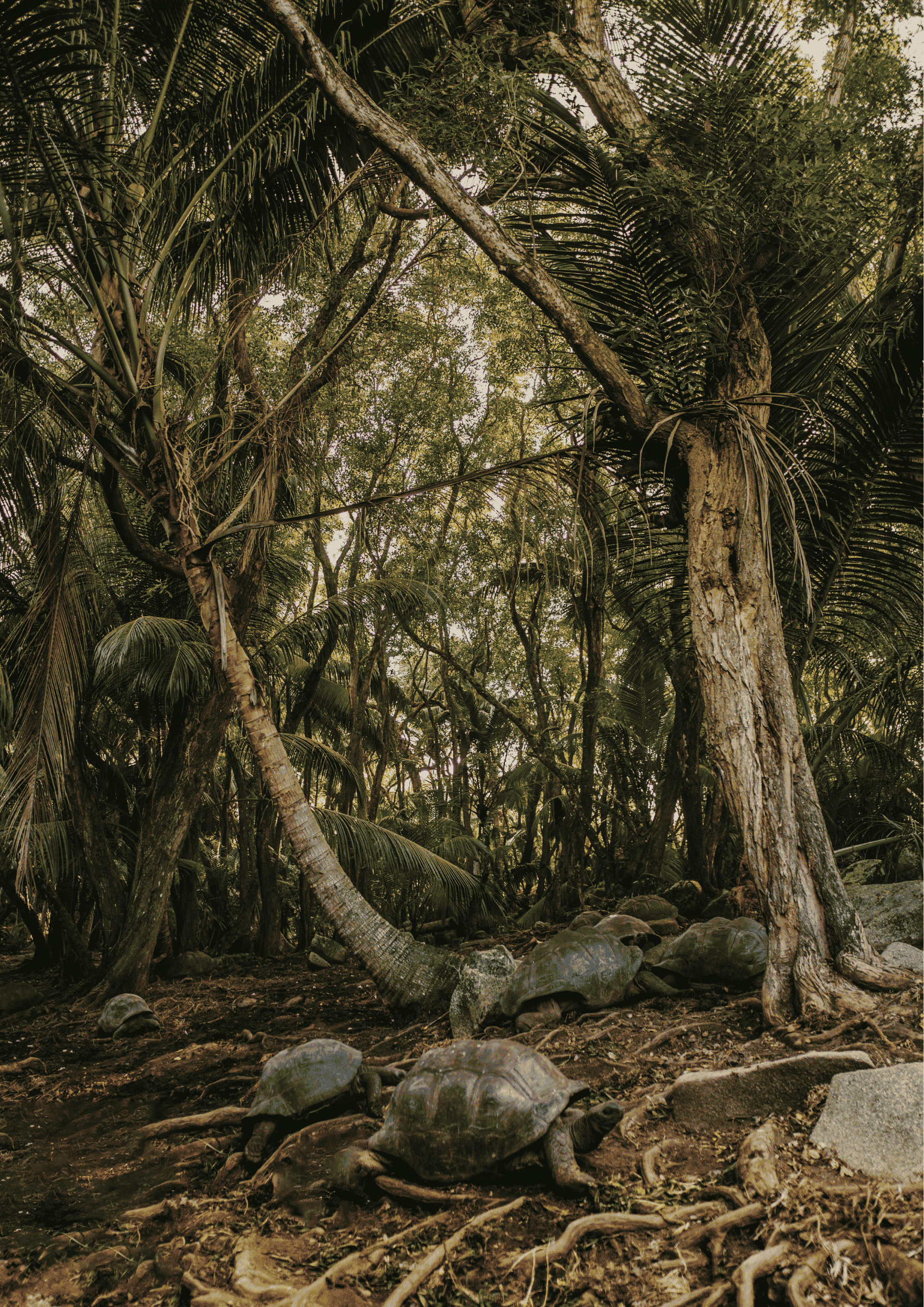 [background image] image of a digital display screen with marketing visuals (for a ai marketing tech company)