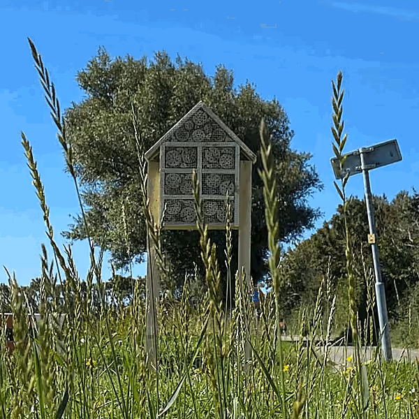 Insectenhotel voor natuurlijke speelomgeving