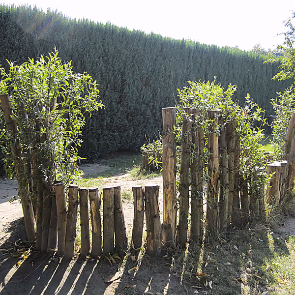 Palenwand van Robinia hout