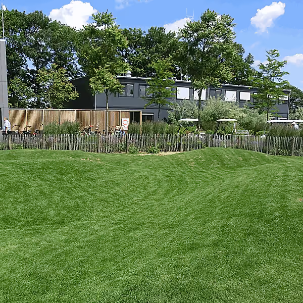 Natuurlijke heuvel