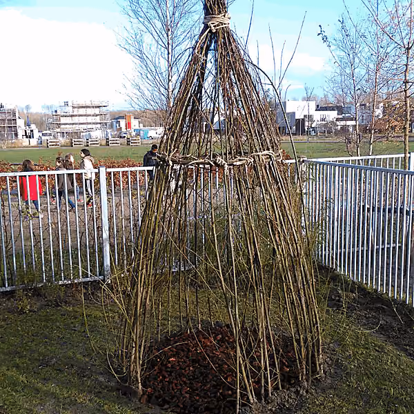 Wilgenhut in speeltuin
