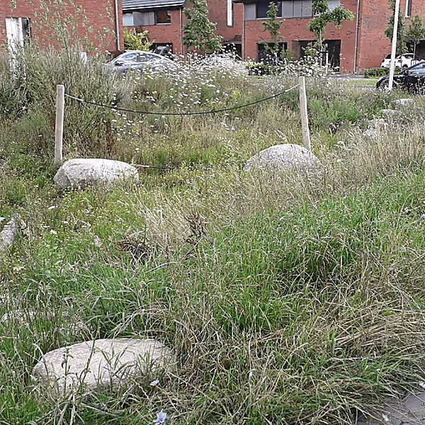 Natuurlijk spelen parcours