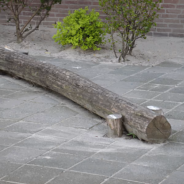 Evenwichtsbalk Robinia hout