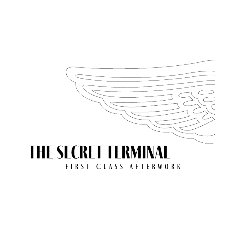 Logo de The Secret Terminal