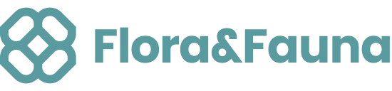 Flora&Fauna company logo with stylized geometric flower design.
