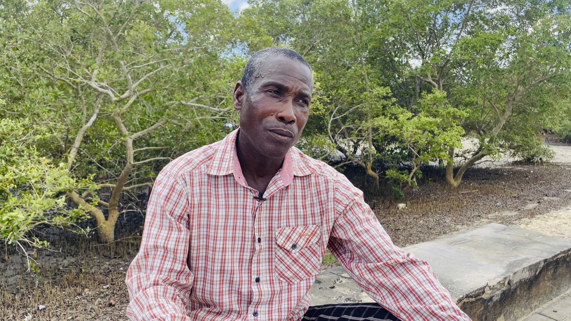 Avelino sitting outdoors among mangrove trees