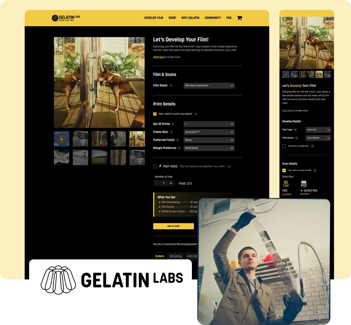 Gelatin Labs case study - Gelatin Labs web development and UI design by Suplex Design Dubai