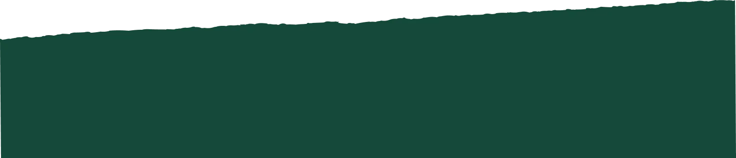 franja de color rasgada para separar secciones