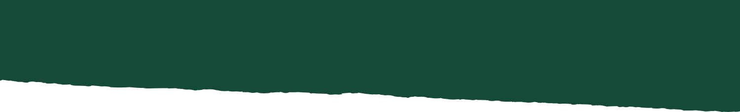 franja de color rasgada para separar secciones