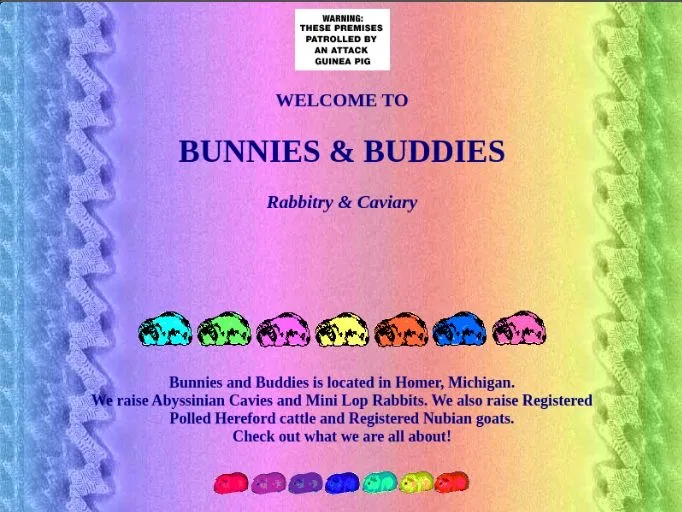 Bunnies & Buddies Homepage