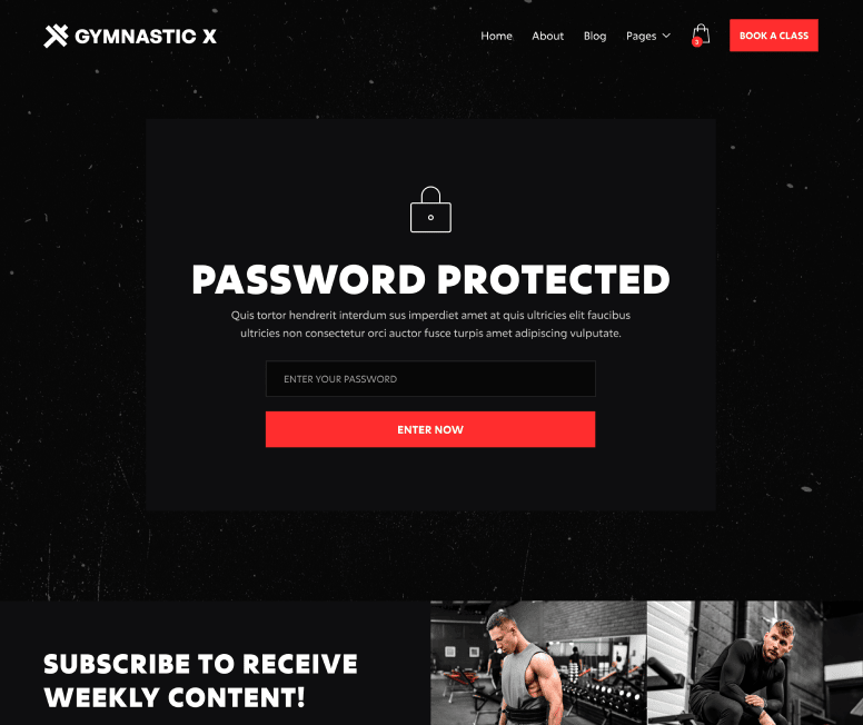 Gymnastic X - Password Protected Utility Page - Gym Webflow Template