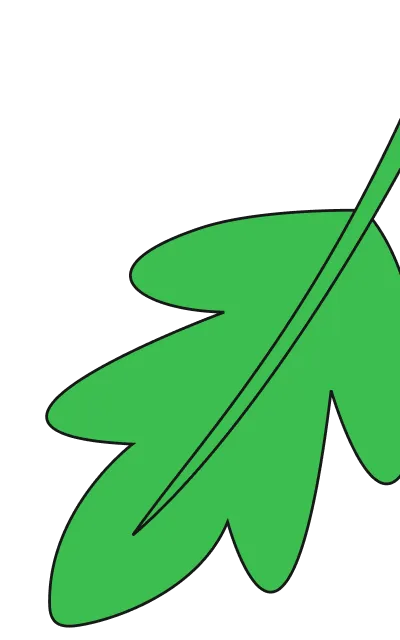 Illustration of a flower with orange petals, a green center, stem, and two green leaves.