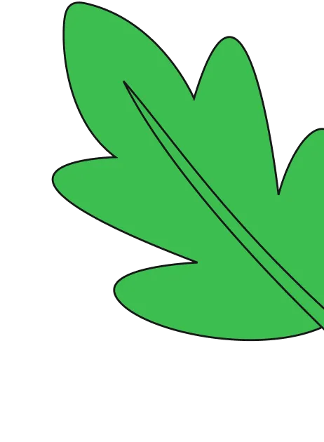 Illustration of a flower with orange petals, a green center, stem, and two green leaves.