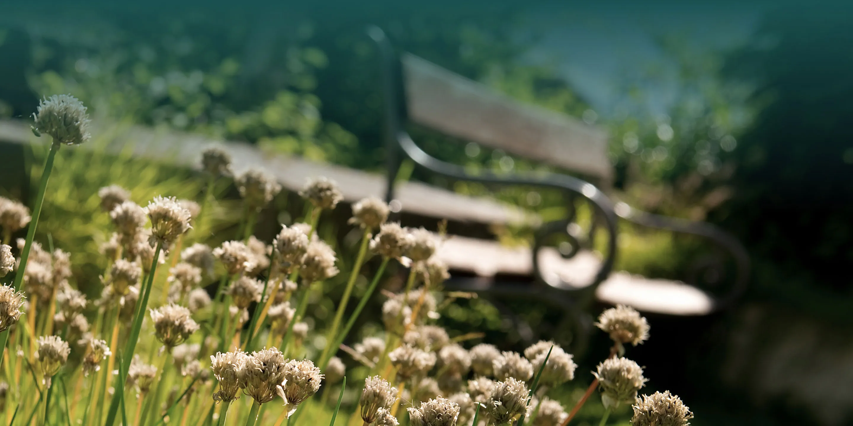 Parkbank in einem Garten