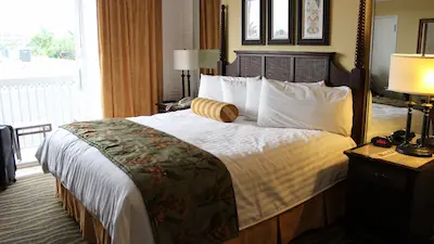 Hotel room with a neatly made king-size bed, decorative pillows, bedside table with lamp, and framed artwork above the headboard.