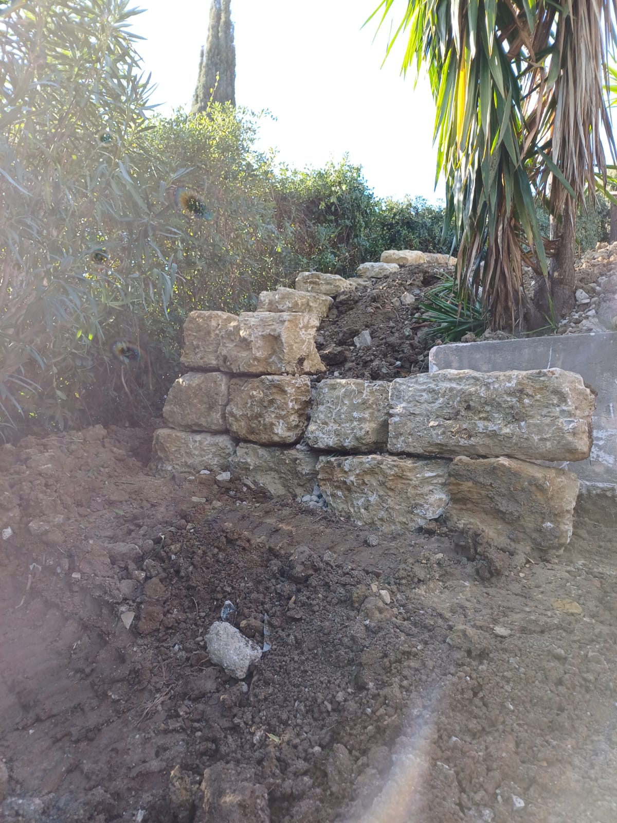 Pro Azur Project Image