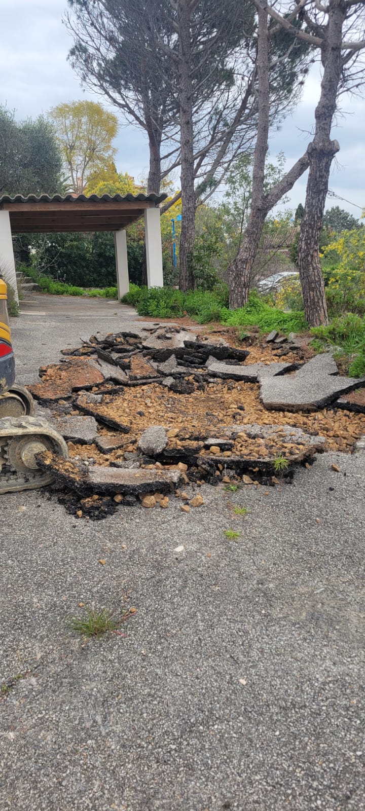 Pro Azur Project Image