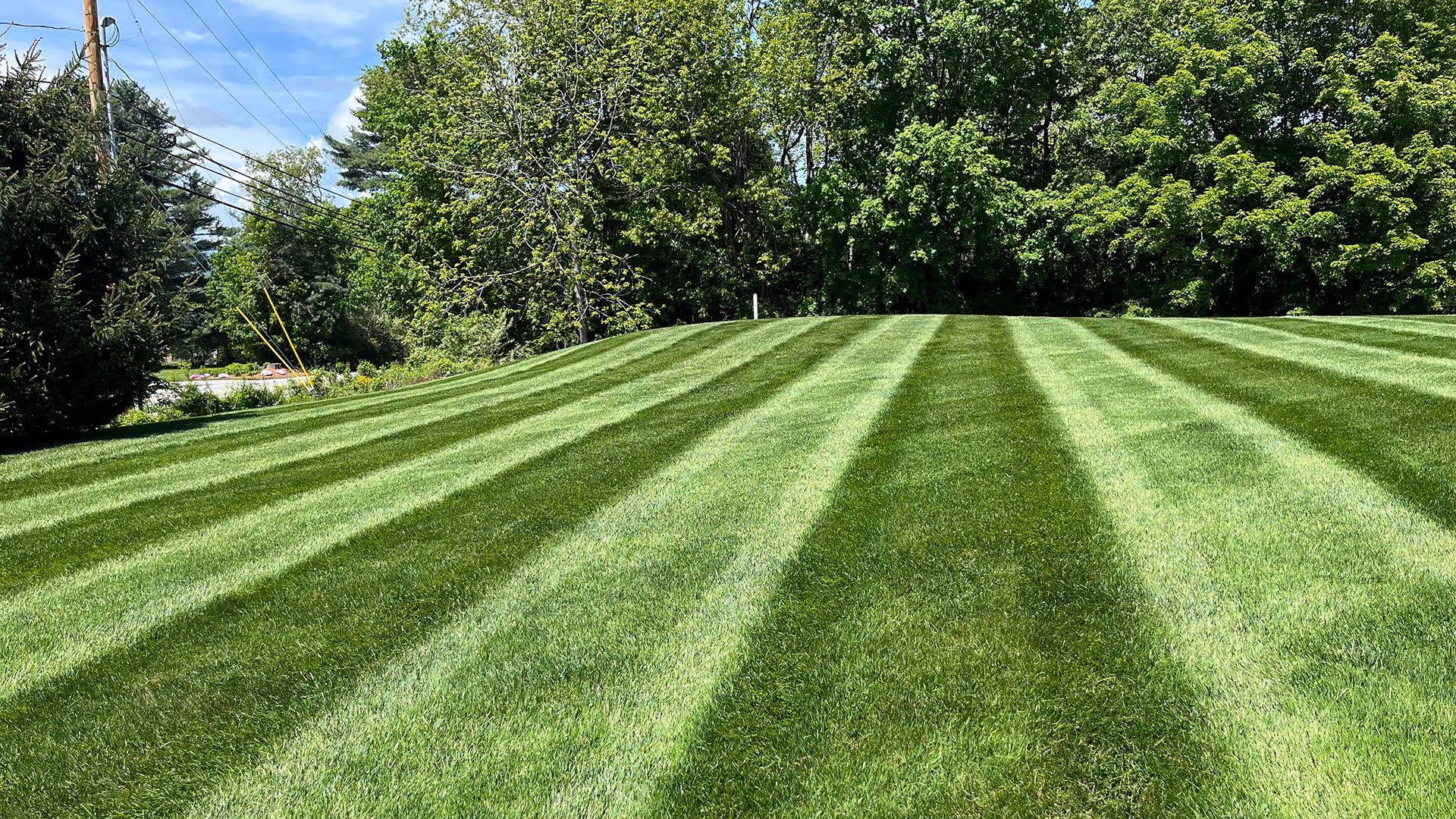 Healthy, green lawn maintained by Berry Brothers Landscaping in Hooksett, NH