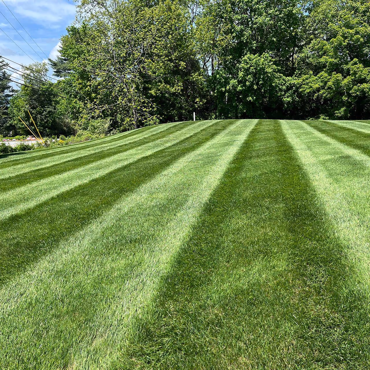 Well maintained residential lawn in Hooksett, New Hampshire