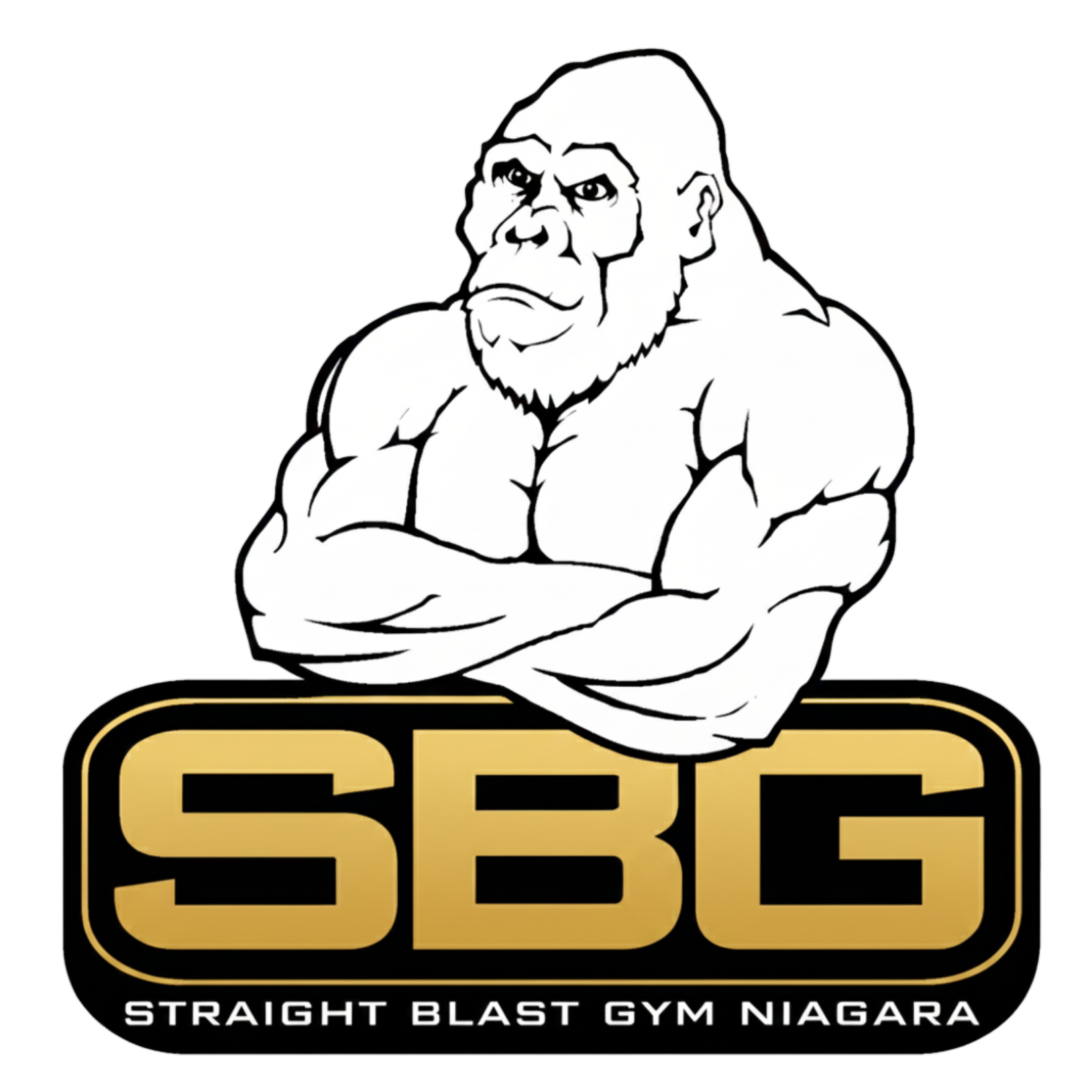 Straight Blast Gym Niagara