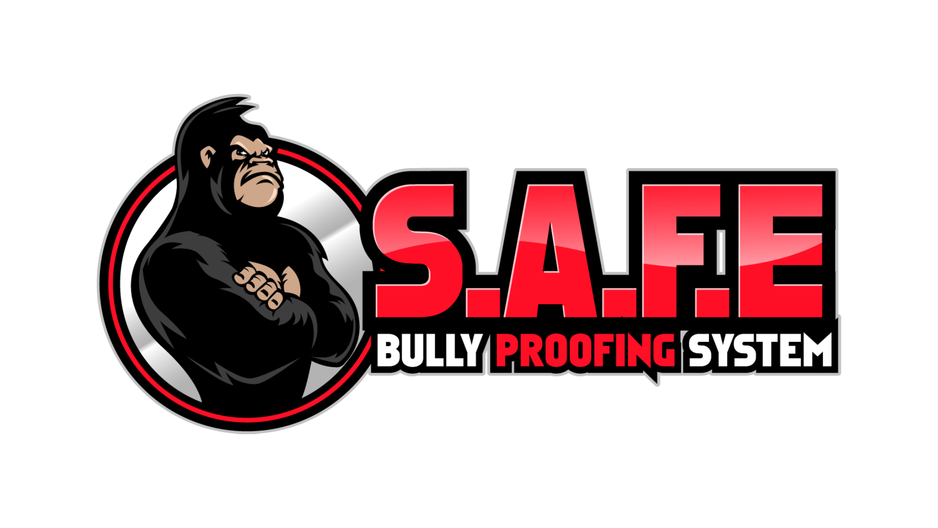 S.A.F.E. BULLY PROOFING SYSTEM