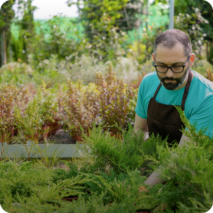 Man with glasses and beard wearing an apron tending green plants in a garden nursery.