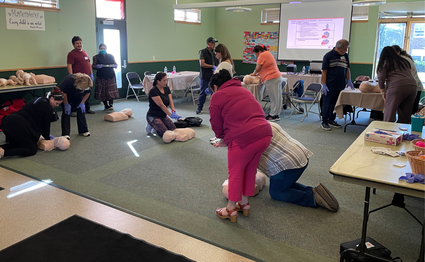 People practicing CPR on training mannequins in a classroom with instructional projector screen.