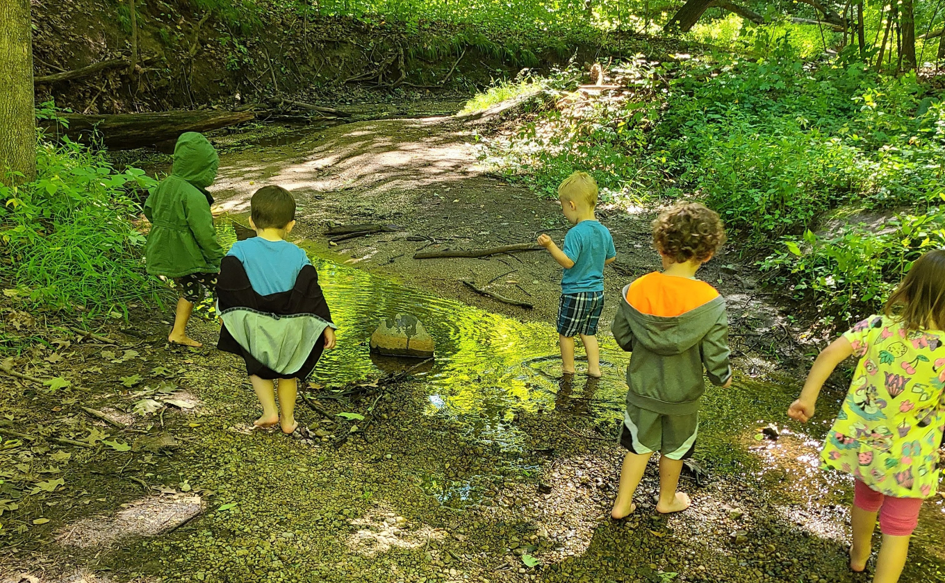 Five children barefoot playing and exploring a shallow forest creek surrounded by greenery and trees.