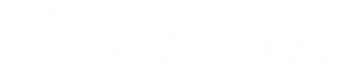 Nadi Group Logo