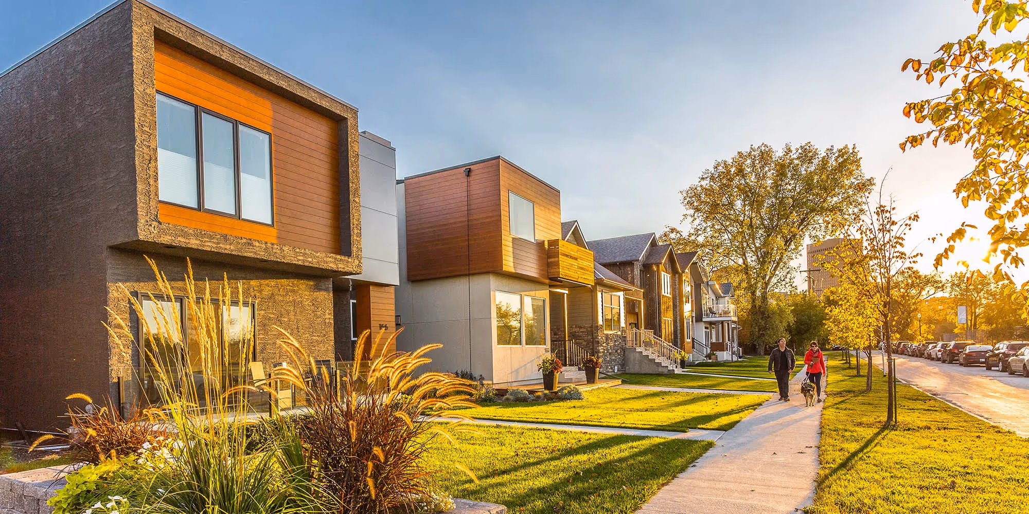 Portfolio Project Thumbnail