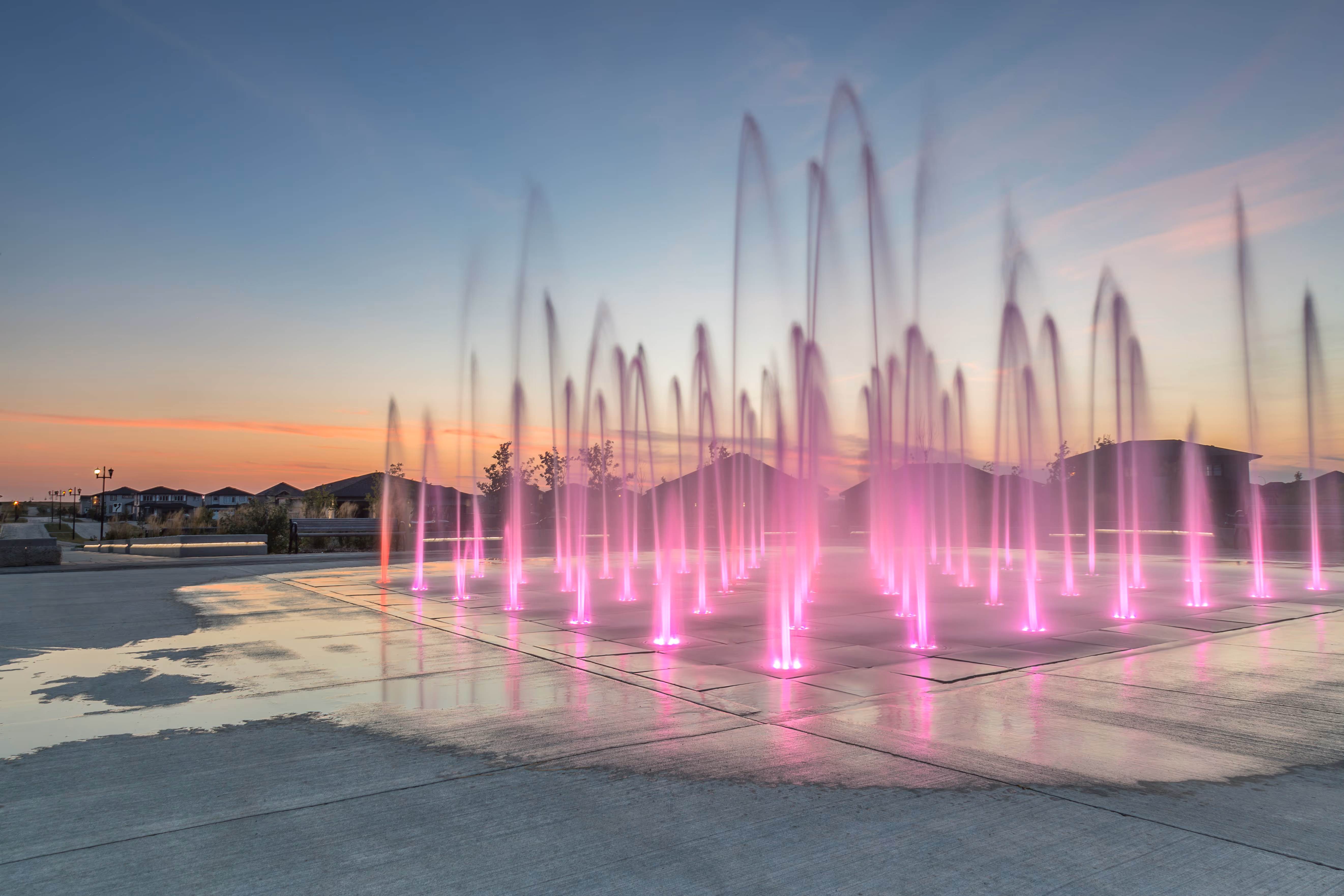 Portfolio Project Thumbnail