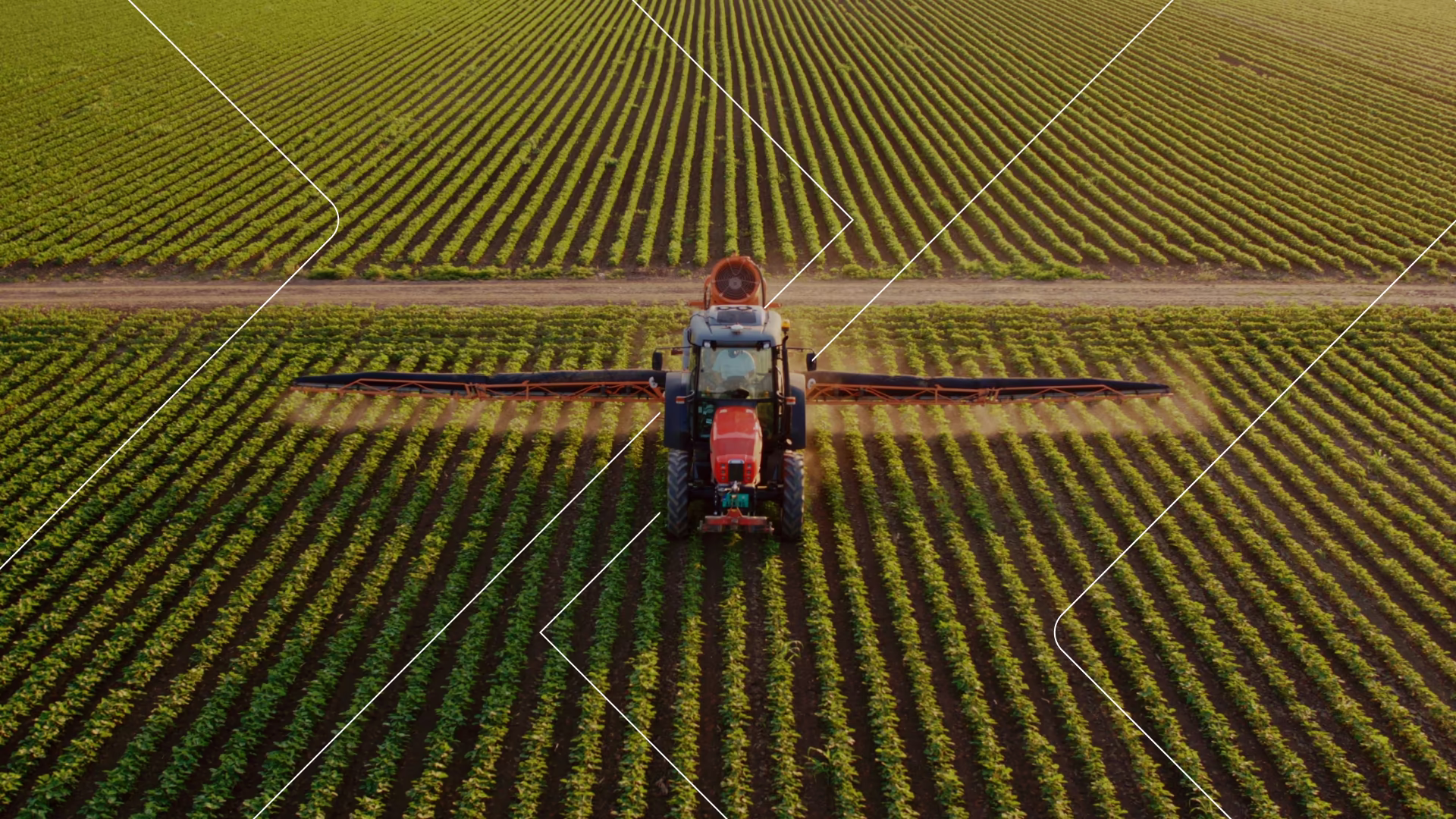 Vista aérea de un tractor fumigando cultivos en un campo agrícola grande y cuidadosamente plantado.