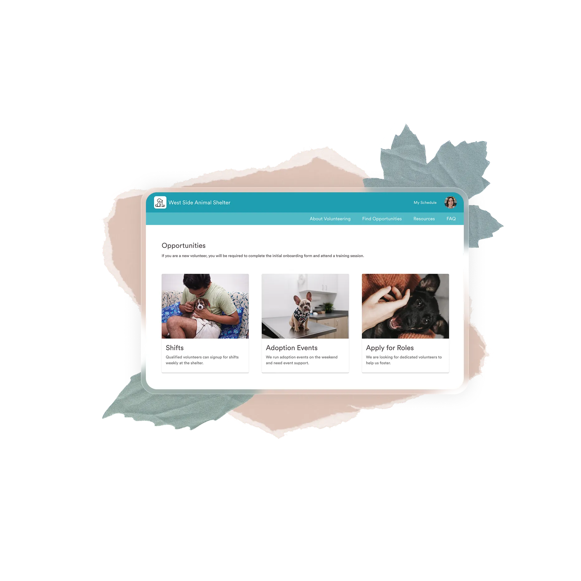 Website page from West Side Animal Shelter showing volunteer opportunities including shifts, adoption events, and applying for roles, each with photos of small dogs.