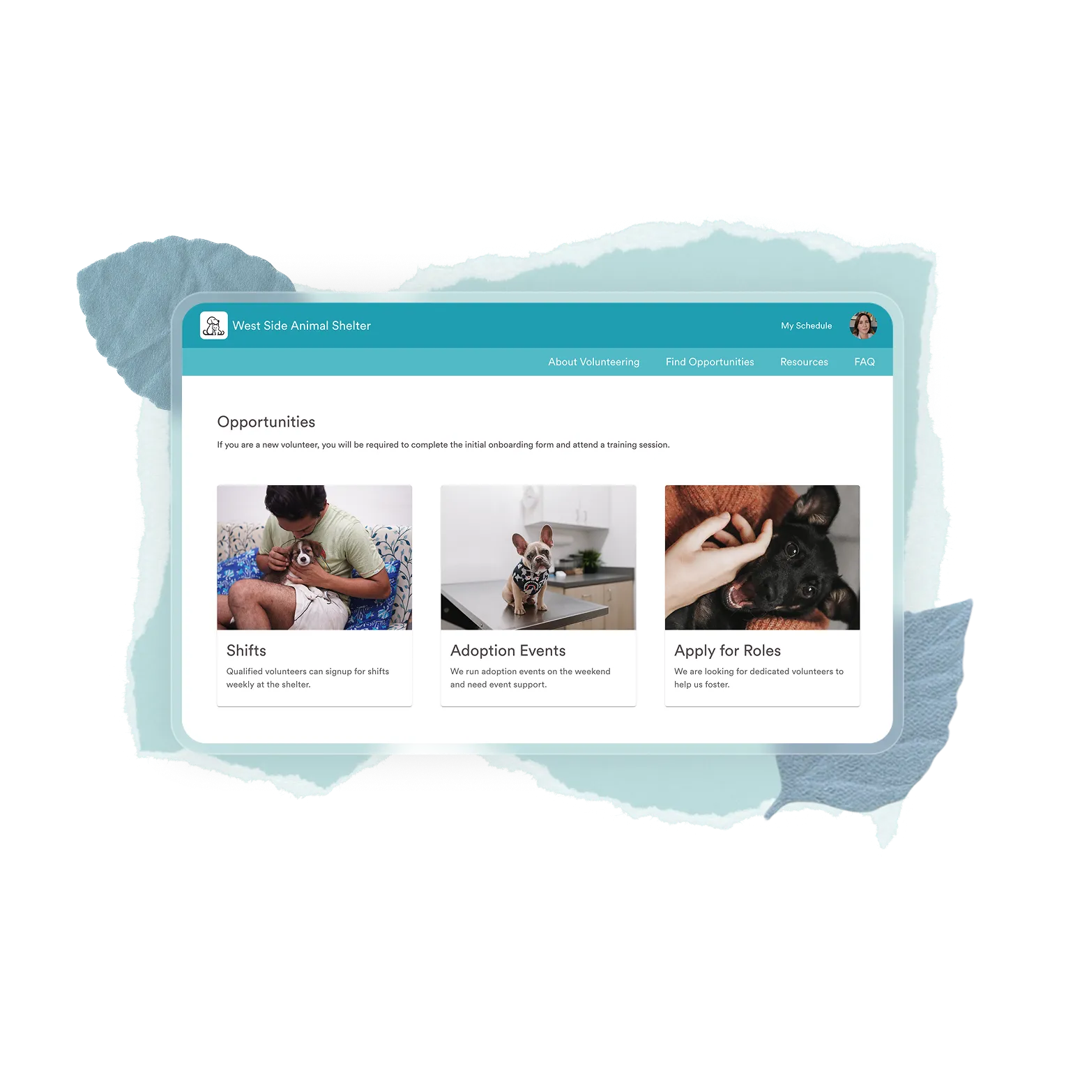 Website page for West Side Animal Shelter showing volunteer opportunities including shifts, adoption events, and applying for roles with images of a person holding a puppy, a dog on a table, and a person petting a dog.